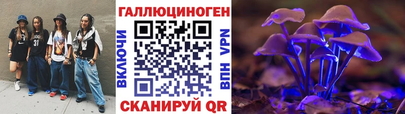 где найти   Данилов  Псилоцибиновые грибы Psilocybine cubensis 